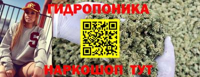 мдпв Мариинск